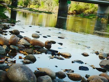 Rocks in the lake