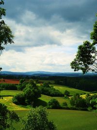 Scenic view of field against sky