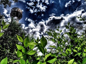 Low angle view of trees against sky