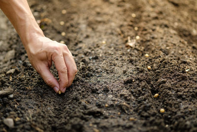 Close-up of person hand on sand