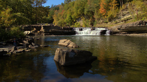 Scenic view of river by trees against sky