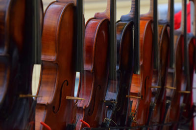 Violins for sale in shop