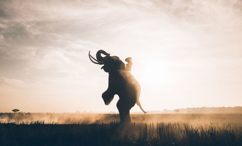 Full length of silhouette man standing on field against sky