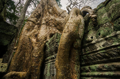 Low angle view of statue against tree trunk