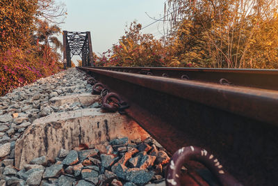 Railroad tracks amidst trees during autumn