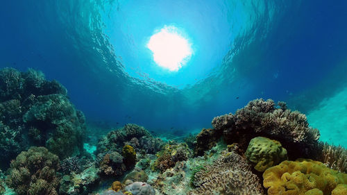 undersea