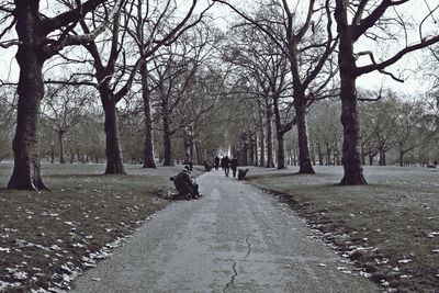 Road passing through forest