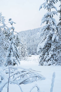 Scenic view of snow covered field against clear sky