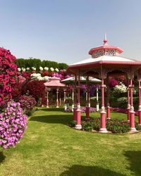 View of flowering plants in garden against clear sky