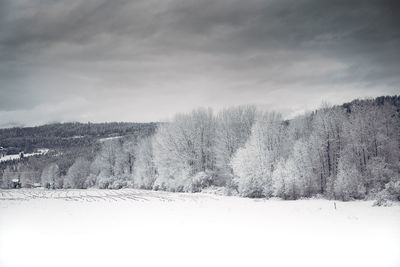 Scenic view of trees on snow against cloudy sky