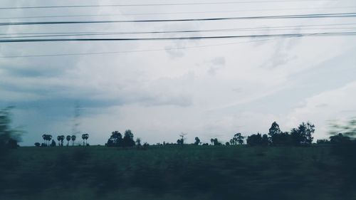 Trees on field against cloudy sky