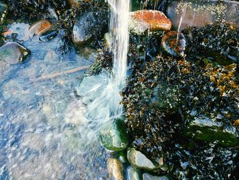 Water flowing through rocks