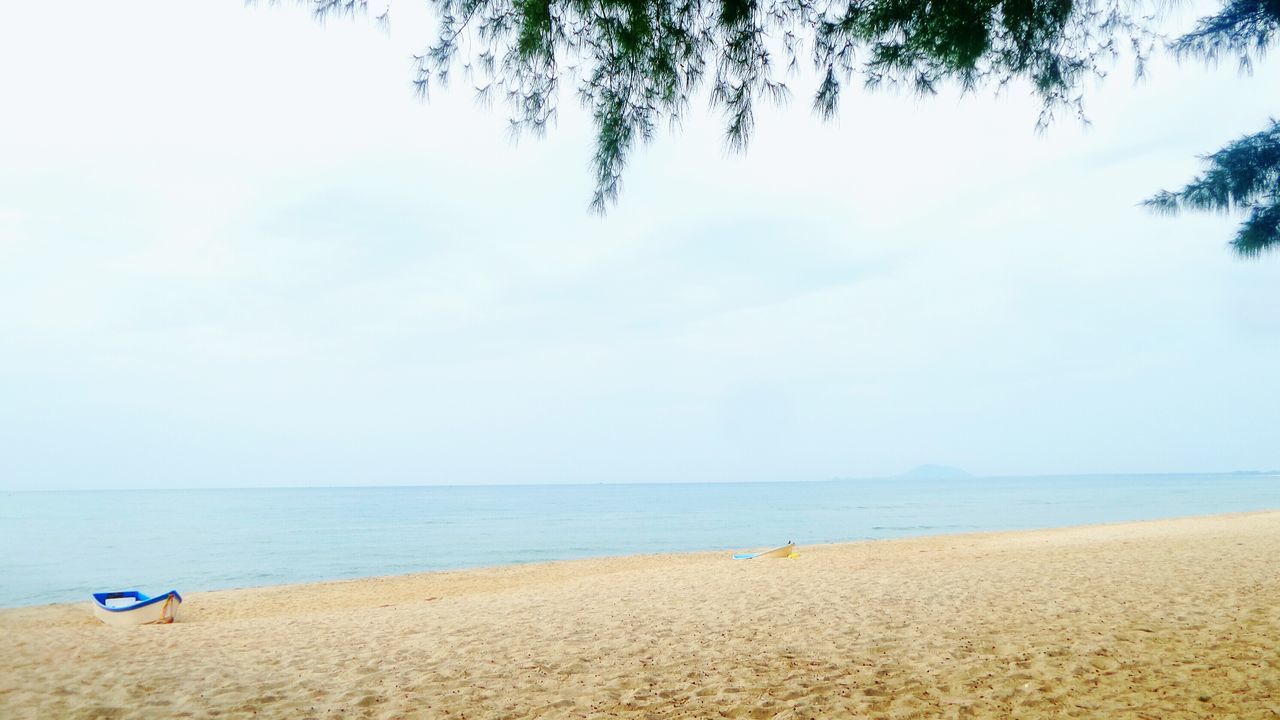 beach, sea, water, horizon over water, sand, tranquility, nature, beauty in nature, tranquil scene, scenics, day, outdoors, sky, no people, tree