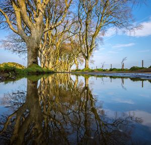 Reflection of trees in lake against sky