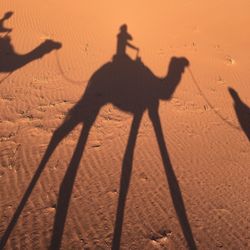 Shadow of people on sand