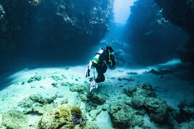 Scuba diver exploring a canyon at the great barrier reef in australia