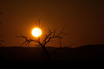 Silhouette bare tree against sky during sunset