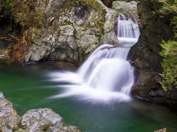 Scenic view of waterfall in forest