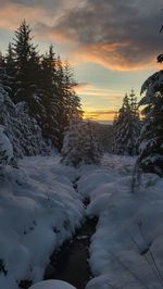 nature