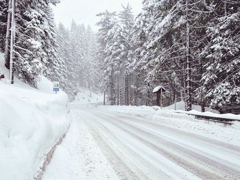 Snow covered road along trees