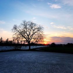 Silhouette bare trees on landscape against sky during sunset