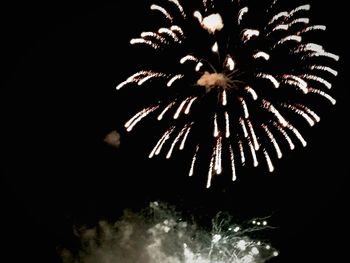 Low angle view of firework display against sky at night