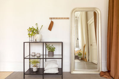 Shelves with potted plants near mirror