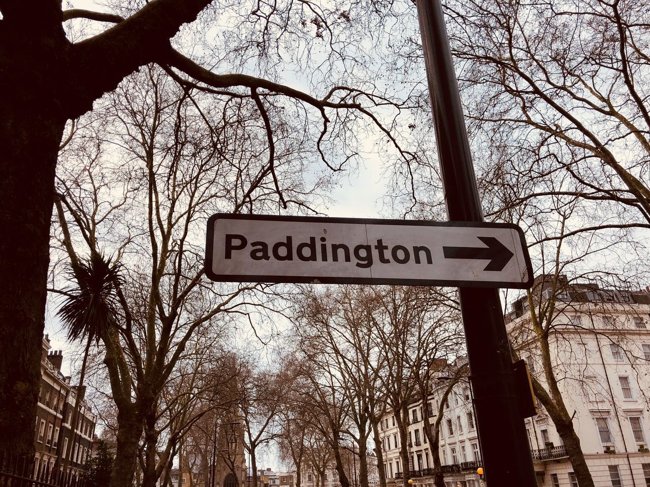 LOW ANGLE VIEW OF ROAD SIGN AGAINST TREES