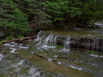 River flowing through forest