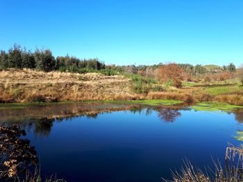 Scenic view of lake against clear blue sky