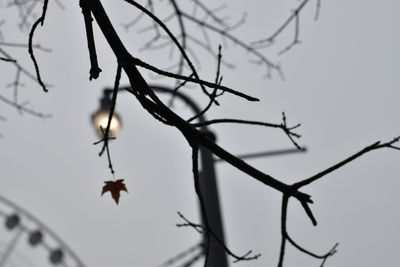 Low angle view of silhouette tree against sky
