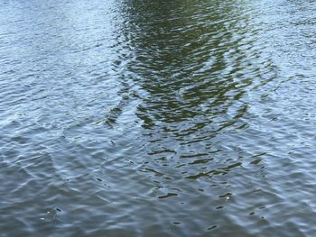 Full frame shot of rippled water