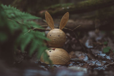 Close-up of stuffed toy on field
