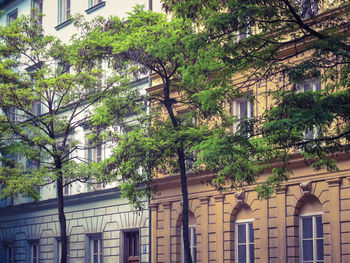 Low angle view of trees and building against sky