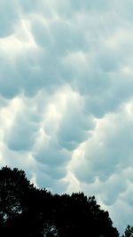 Low angle view of trees against sky