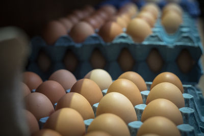 Close-up of eggs in carton