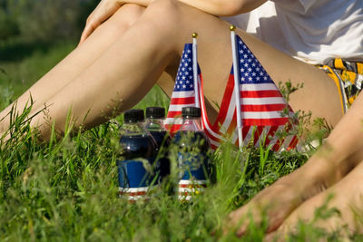Legs and usa flags with soda on grass lawn, patriotic holiday 4th july independence day, picnic