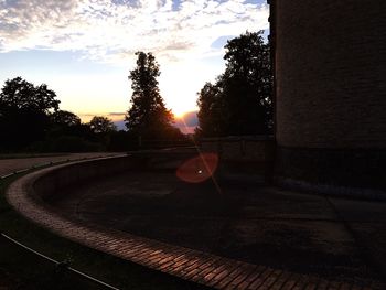 View of trees at sunset