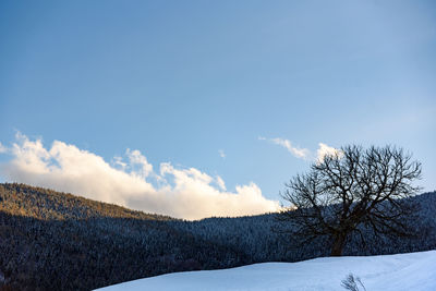 Scenic view of snow covered land against sky