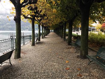 Footpath amidst trees in park during autumn