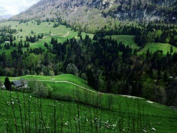 Scenic view of agricultural landscape