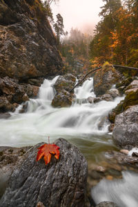 Scenic view of waterfall in forest during autumn