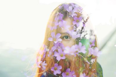 Close-up of multi colored flowers