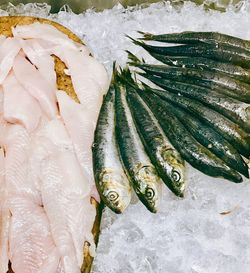 Close-up of fish for sale in market