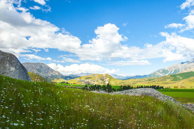Scenic view of field against sky