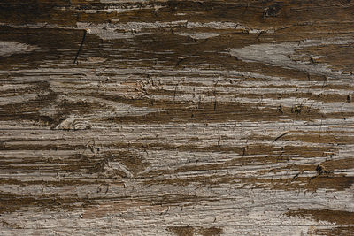 Surface level of old wooden plank