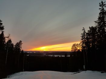 Silhouette trees on snow covered land against sky during sunset