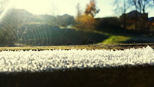 Close-up of water drops on farm against sky