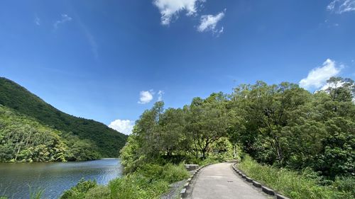 Road amidst trees against sky