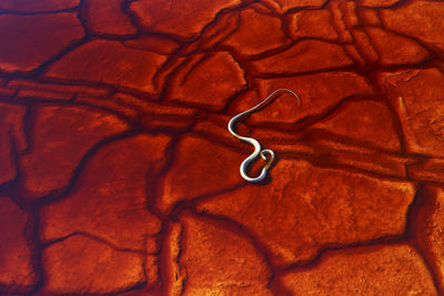 High angle view of love on metal